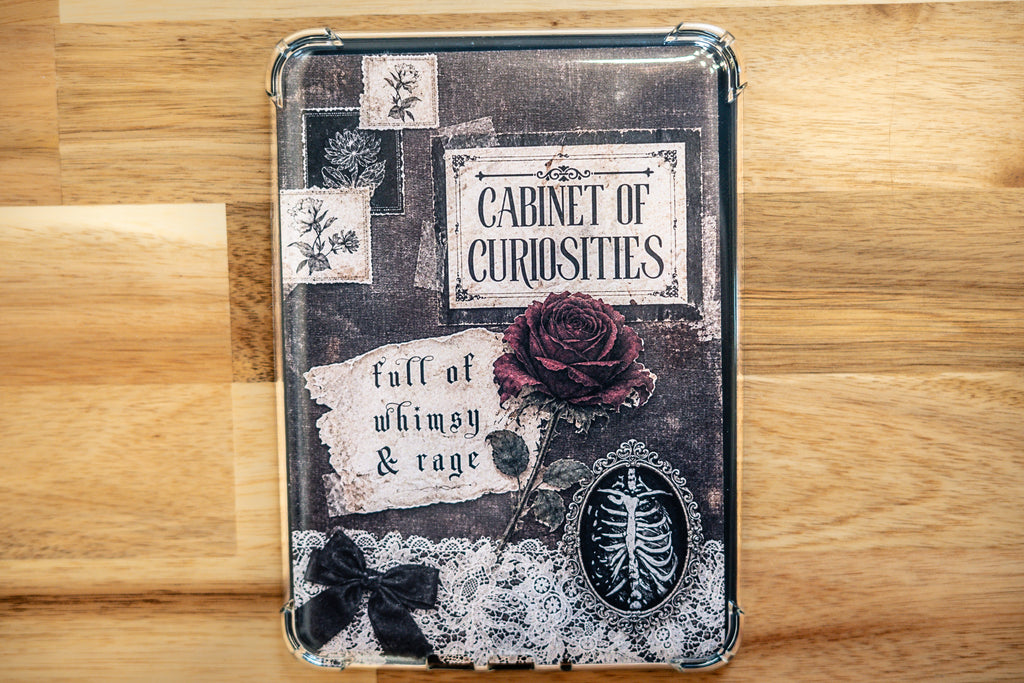 Cabinet of Curiosities — Kindle Insert