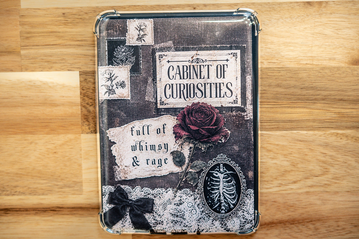 Cabinet of Curiosities — Kindle Insert