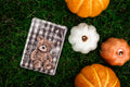 Bookish Girl — Kindle Insert