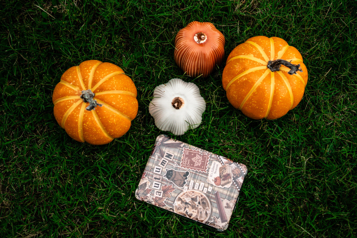 Autumn Court Kindle Insert