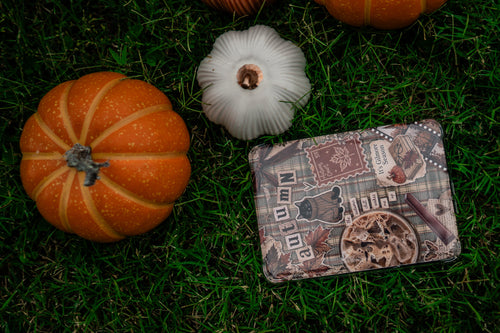 Autumn Court Kindle Insert