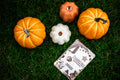 Mentally in Stars Hollow — Kindle Insert