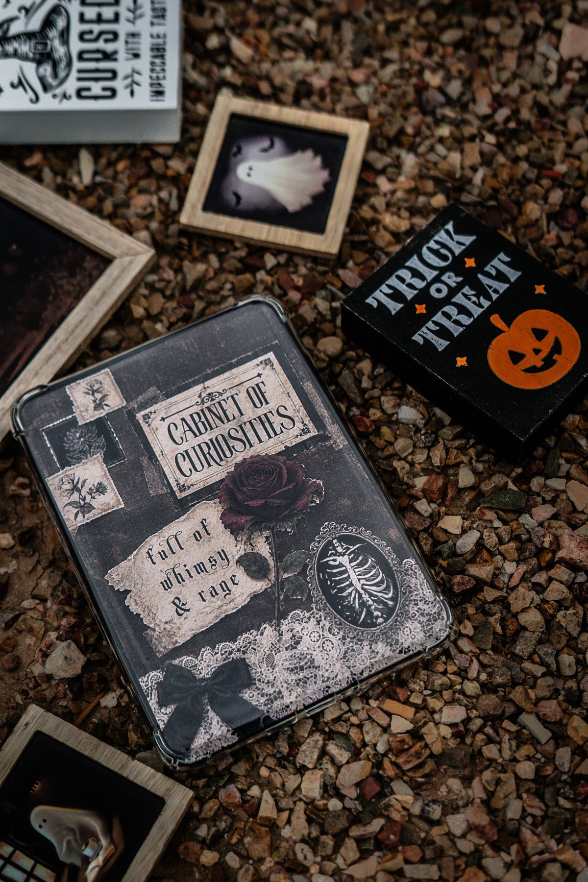 Cabinet of Curiosities — Kindle Insert