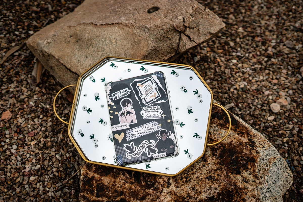 Save a Dragon Ride Xaden Kindle Insert