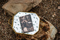 Once Upon a Knight Kindle Insert